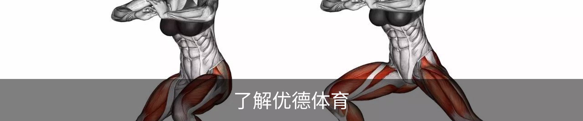 了解优德体育